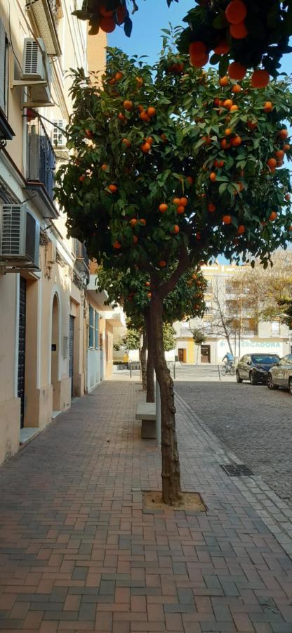 Golondrina Córdoba Exterior foto